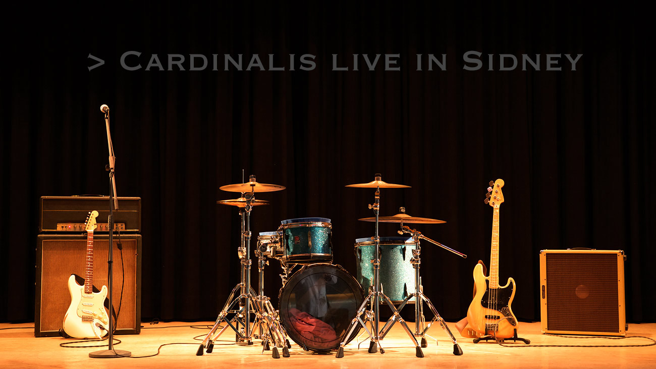 Bühnenbild der Band Cardinalis